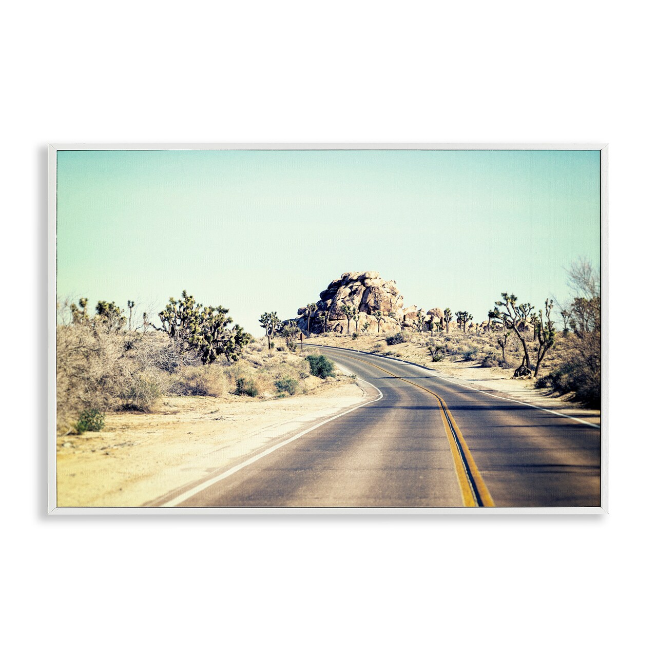 Stupell Industries Road Trip Joshua Tree Park Framed Giclee, design by Joseph S Giacalone